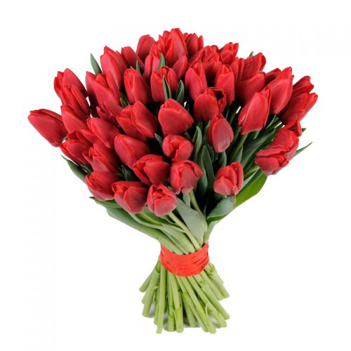 Фото товара 51 красный тюльпан в Одессе