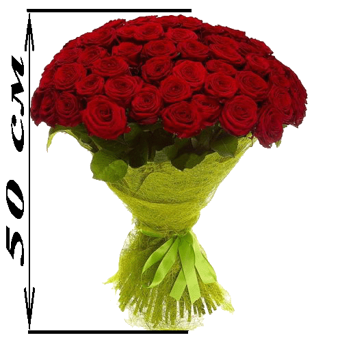 Фото товара 101 красная роза (50см) в Одессе