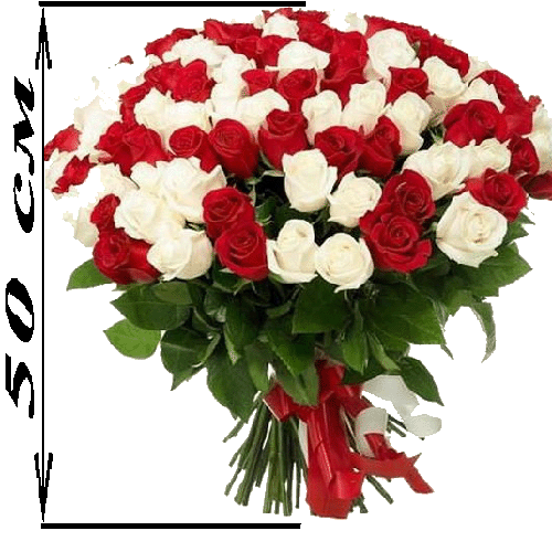 Фото товара 101 роза микс красная и белая (50 см) в Одессе