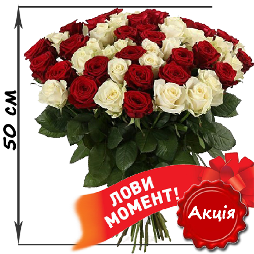 Фото товара 51 красная и белая роза (50 см) в Одессе