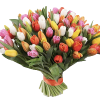 Фото товара 101 разноцветный тюльпан в Одессе