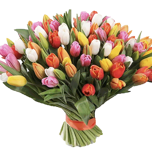 Фото товара 101 разноцветный тюльпан в Одессе