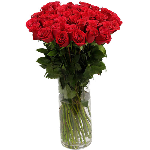 фото товара Троянда імпортна червона (поштучно) | «Букетик Одеса»