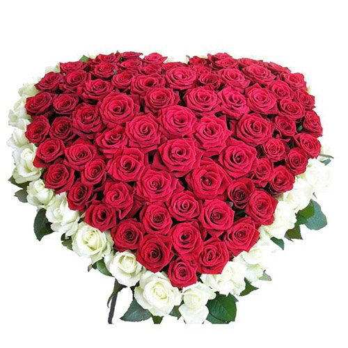 Фото товара 101 роза сердцем - белая, красная в Одессе