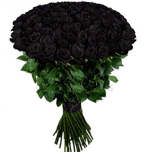 Фото товара 101 чёрная роза в Одессе