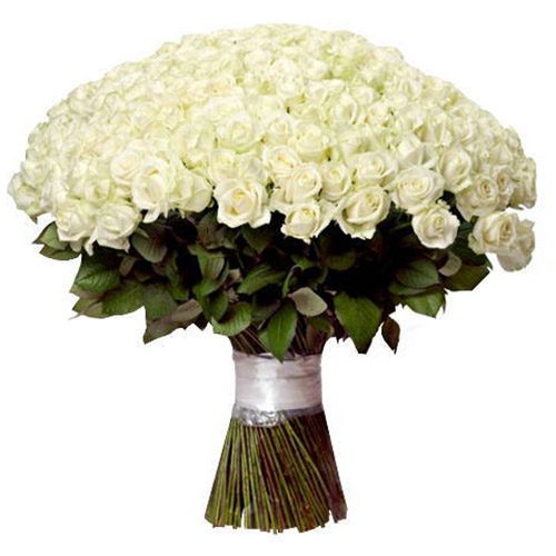 Фото товара 201 белая роза в Одессе