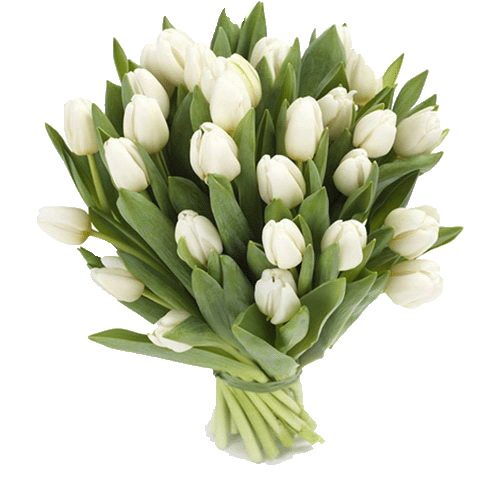 Фото товара 25 белых тюльпанов в Одессе