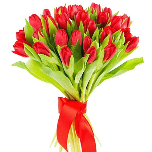 Фото товара 25 красных тюльпанов в Одессе