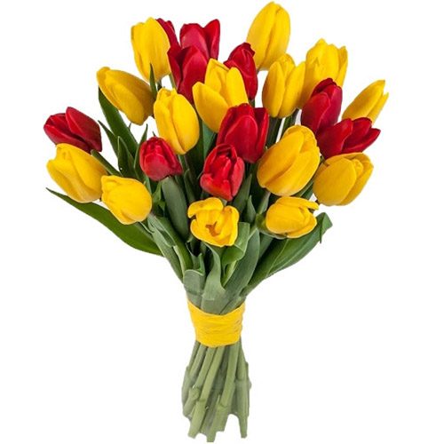 Фото товара 15 красно-жёлтых тюльпанов (с лентой) в Одессе
