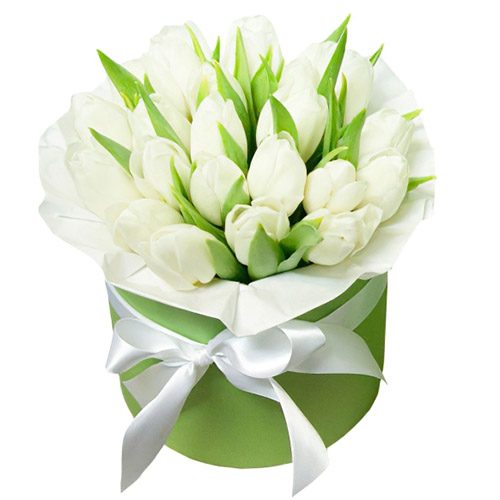 Фото товара 21 белый тюльпан в коробке в Одессе