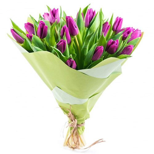 Фото товара 25 пурпурных тюльпанов в Одессе