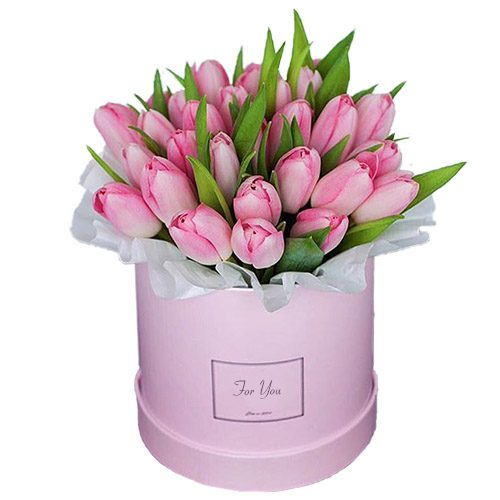 Фото товара 31 нежно-розовый тюльпан в коробке в Одессе