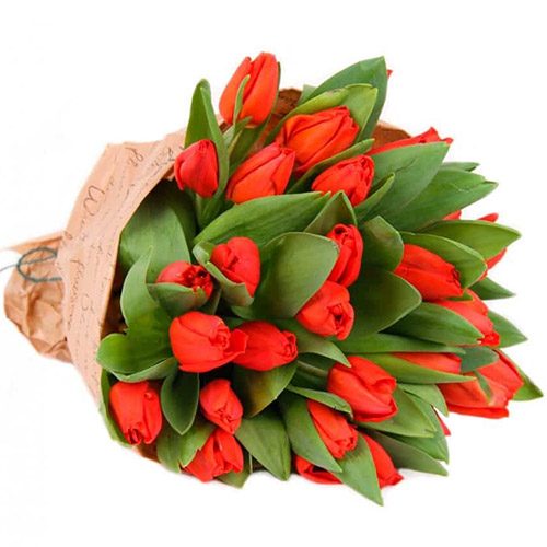 Фото товара 35 красных тюльпанов в "газете" в Одессе