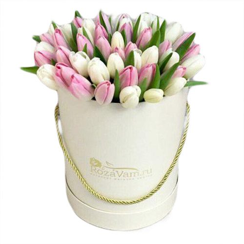 Фото товара 51 бело-розовый тюльпан в коробке в Одессе