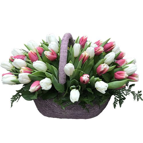 Фото товара 51 бело-розовый тюльпан в корзине в Одессе
