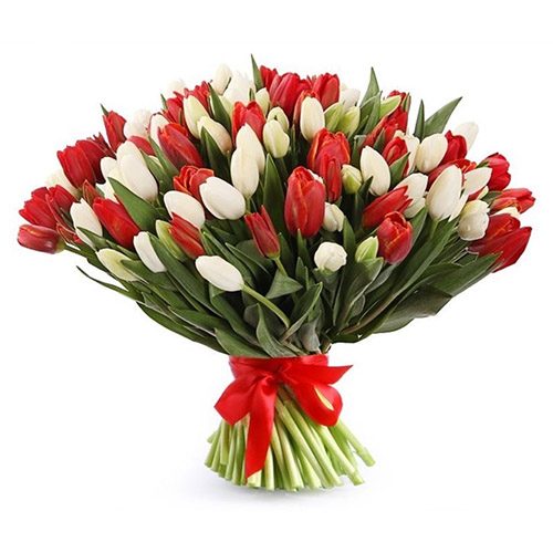 Фото товара 75 красно-белых тюльпанов (с лентой) в Одессе