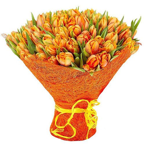 Фото товара 101 маковый тюльпан в Одессе