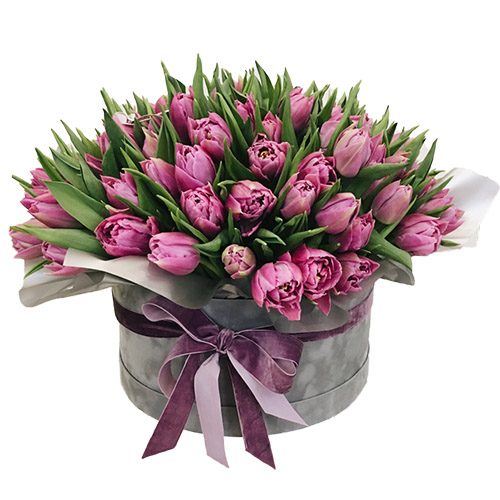 Фото товара 101 пурпурный тюльпан в коробке в Одессе