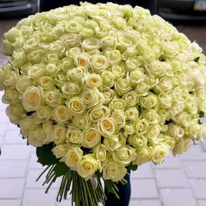 301 белая роза в Одессе фото