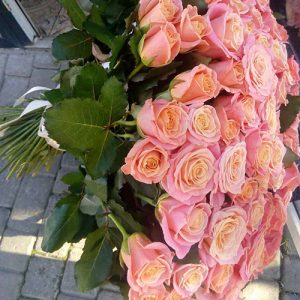 51 роза чайного цвета в Одессе фото