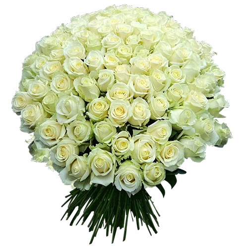Фото товара 101 белая роза в Одессе