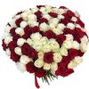 Фото товара 101 красная и белая роза в Одессе