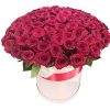 Фото товара 101 роза красная в шляпной коробке в Одессе