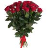 Фото товара 21 красная роза в Одессе