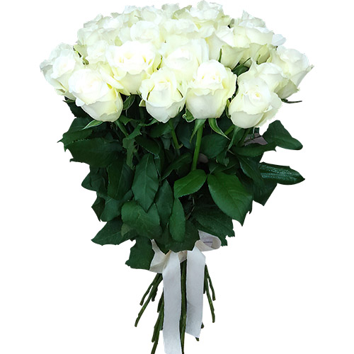 Фото товара 25 белых роз в Одессе