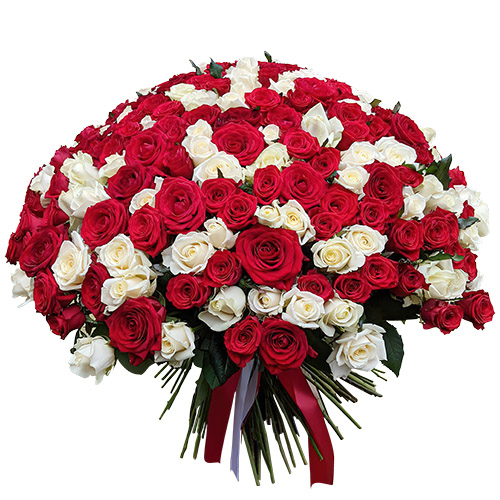 Фото товара 201 красная и белая роза в Одессе