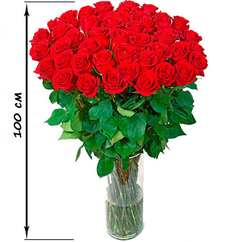 Фото товара 35 высоких роз (100 см) в Одессе