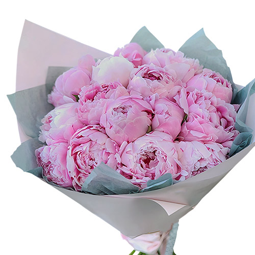 Фото товара 19 розовых пионов в Одессе