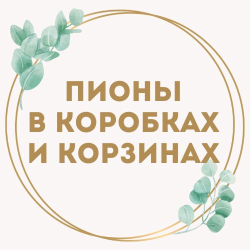 категория товаров Пионы в коробках и корзинах | «Букетик Одесса»