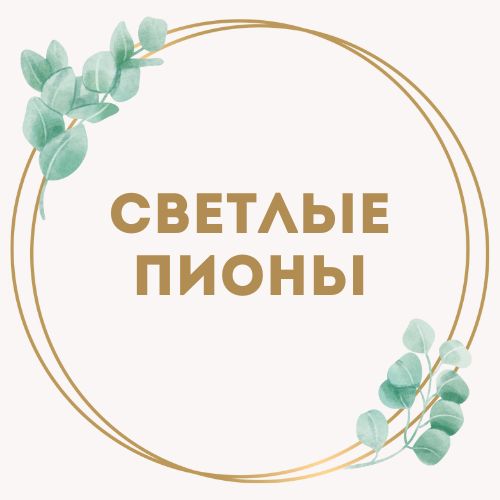 категория товаров Светлые пионы | «Букетик Одесса»