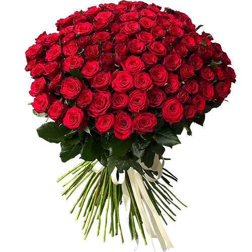 Фото товара 101 роза красная в Одессе