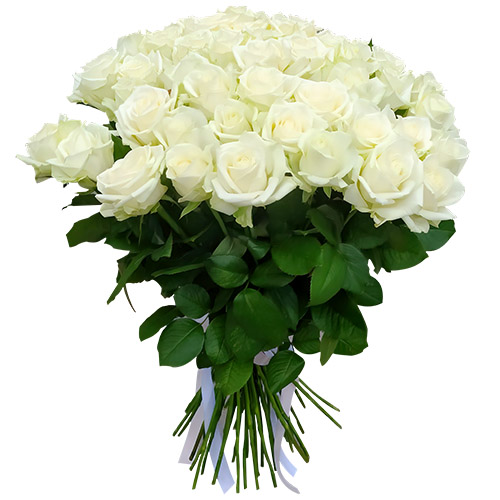 Фото товара 51 роза белая в Одессе