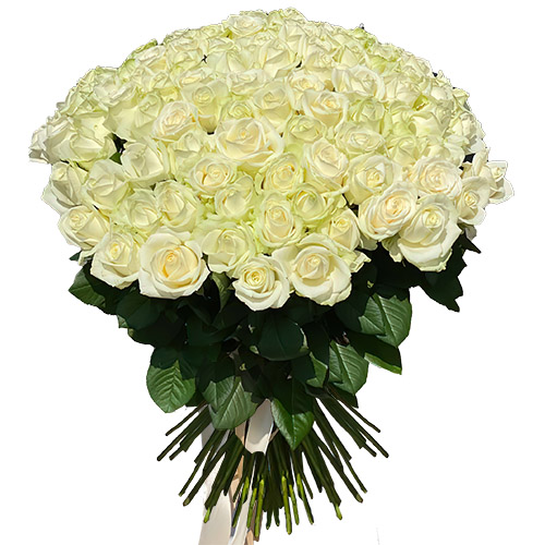 Фото товара 101 роза белая в Одессе