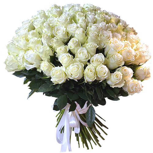 фото товара 101 біла імпортна троянда | «Букетик Одеса»