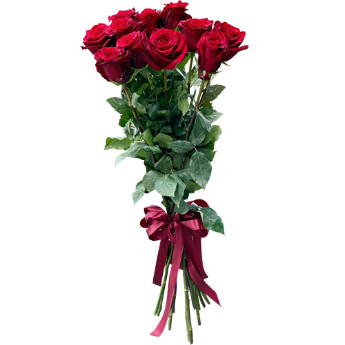 Фото товара 11 метровых роз в Одессе