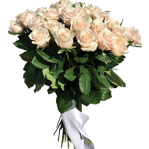 Фото товара Букет из 33 кремовых роз в Одессе